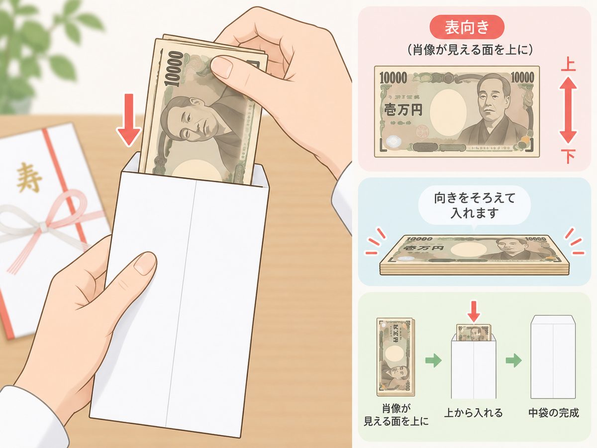 お札を肖像画が表・上向きで中袋に入れるイメージ